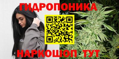 прущие крисы Уссурийск