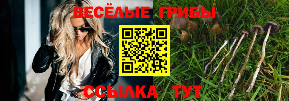 Псилоцибиновые грибы Magic Shrooms Орехово-Зуево
