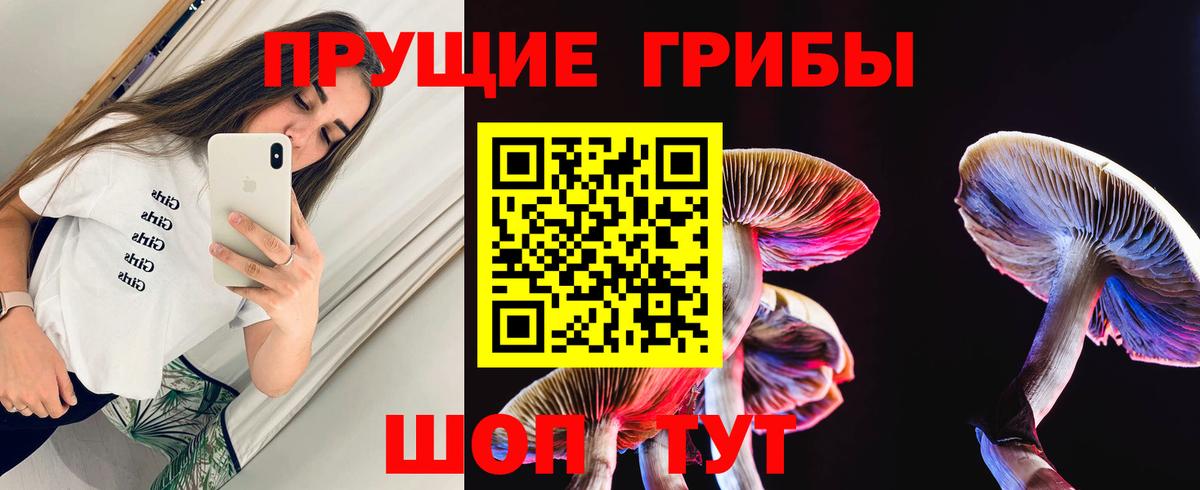 Орехово-Зуево  Псилоцибиновые грибы Psilocybine cubensis  Галлюциногенные грибы прущие грибы  Вход с VPN 